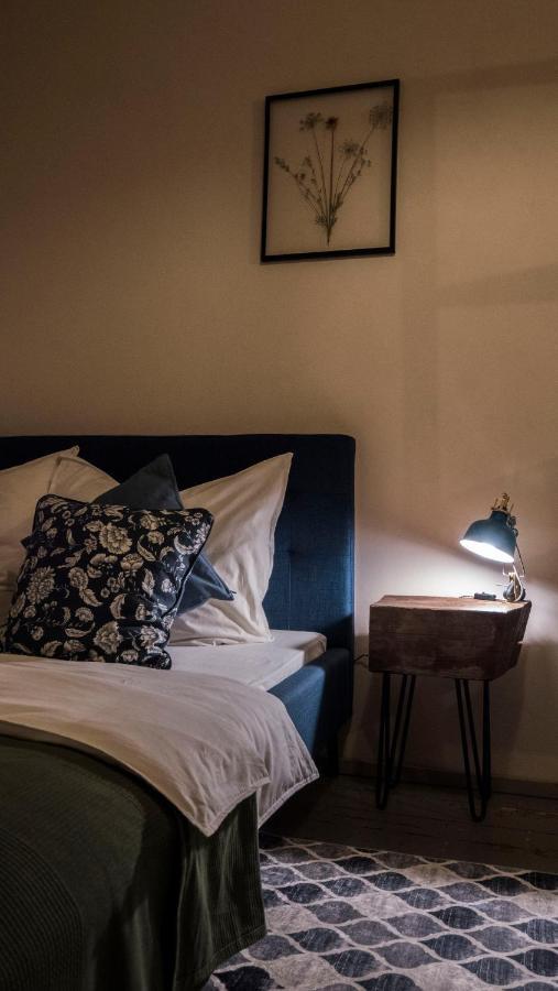 カルロヴィ・ヴァリLazensky Apartmanアパートメント エクステリア 写真
